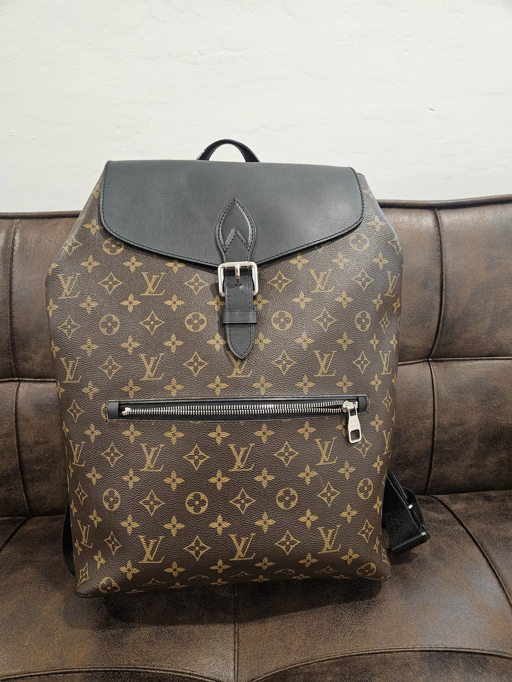 LOUIS VUITTON MONOGRAM MACASSAR PALK BACK